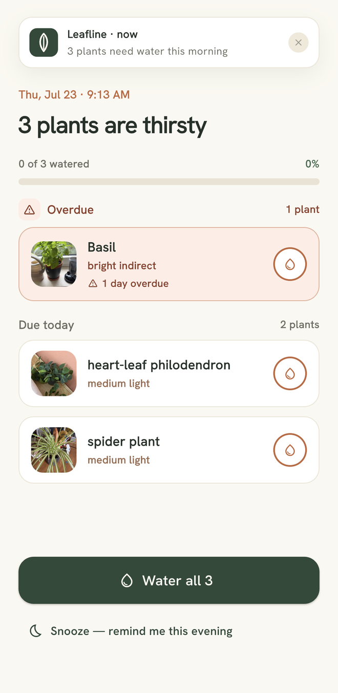 The Leafline home screen. A notification reads “Leafline · now — 3 plants need water this morning.” Below, the heading “3 plants are thirsty” with a “0 of 3 watered” progress bar, an overdue Basil, then heart-leaf philodendron and spider plant due today, and a “Water all 3” button.
